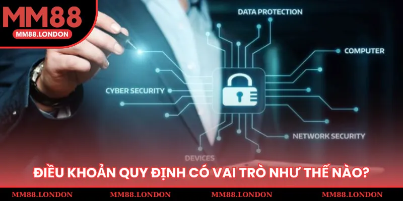 Điều khoản quy định có vai trò như thế nào cho hội viên?